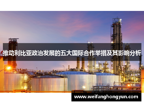 推动利比亚政治发展的五大国际合作举措及其影响分析