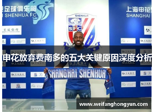 申花放弃费南多的五大关键原因深度分析