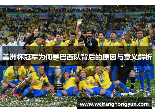 美洲杯冠军为何是巴西队背后的原因与意义解析