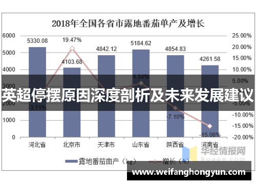 英超停摆原因深度剖析及未来发展建议 英超停摆原因深度剖析及未来发展建议